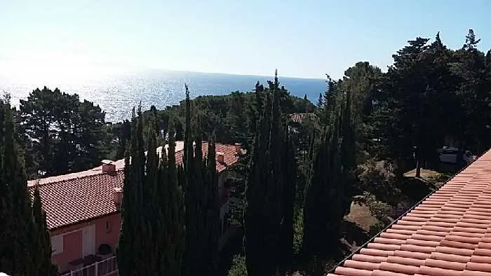 Appartamento in vendita a Rio - Capo d'Arco - foto 4