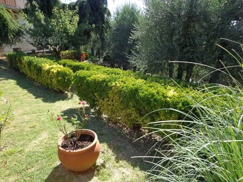Appartamento in vendita a Fucecchio - foto 10