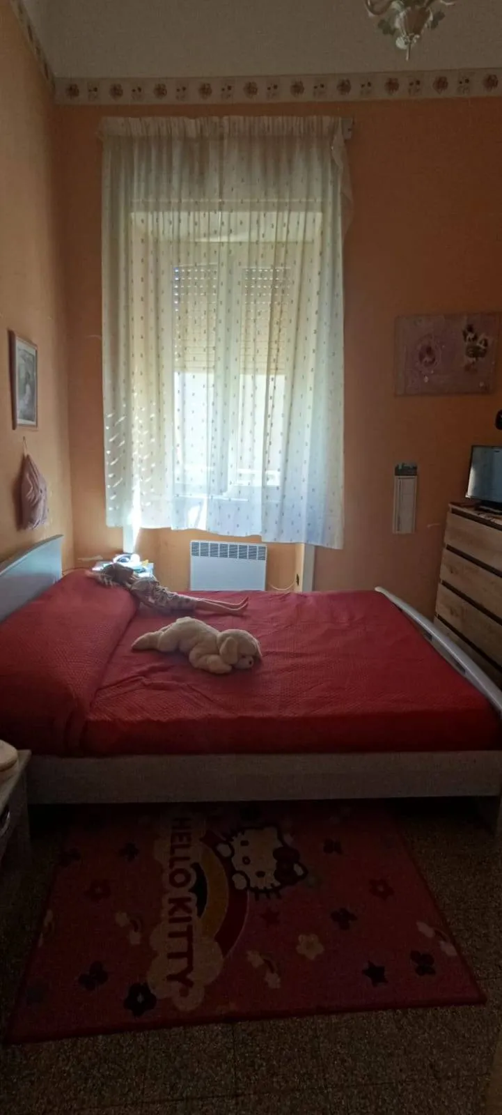 Appartamento in vendita a Pontecorvo - foto 9