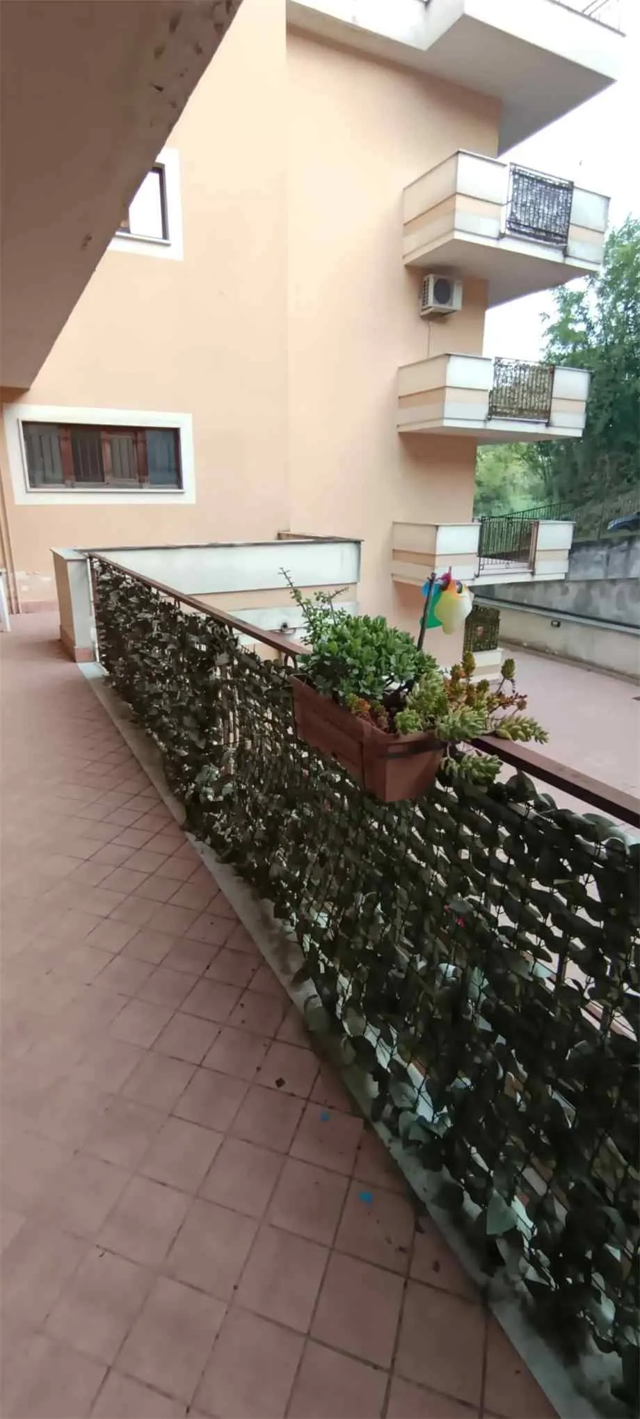 Appartamento in vendita a Pontecorvo - foto 9