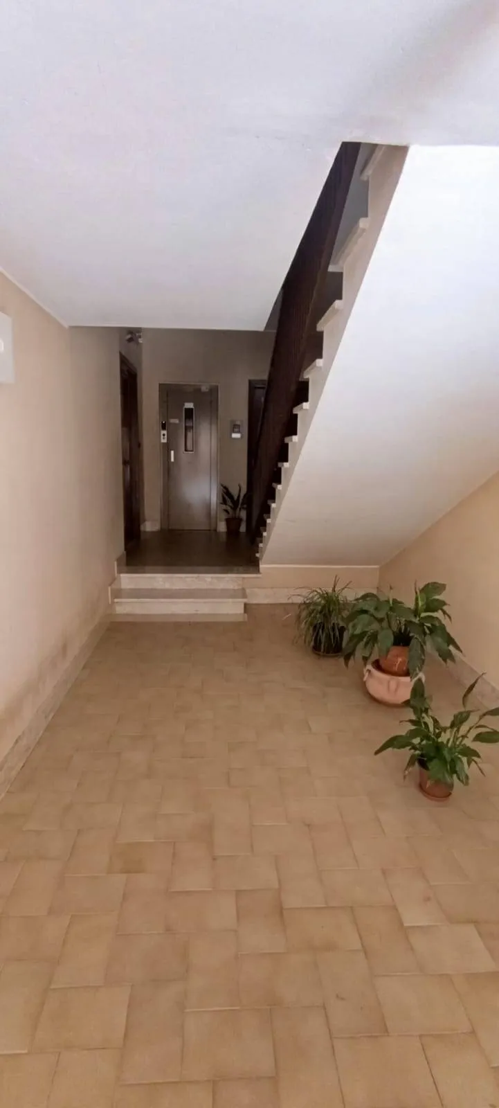 Appartamento in vendita a Pontecorvo - foto 4