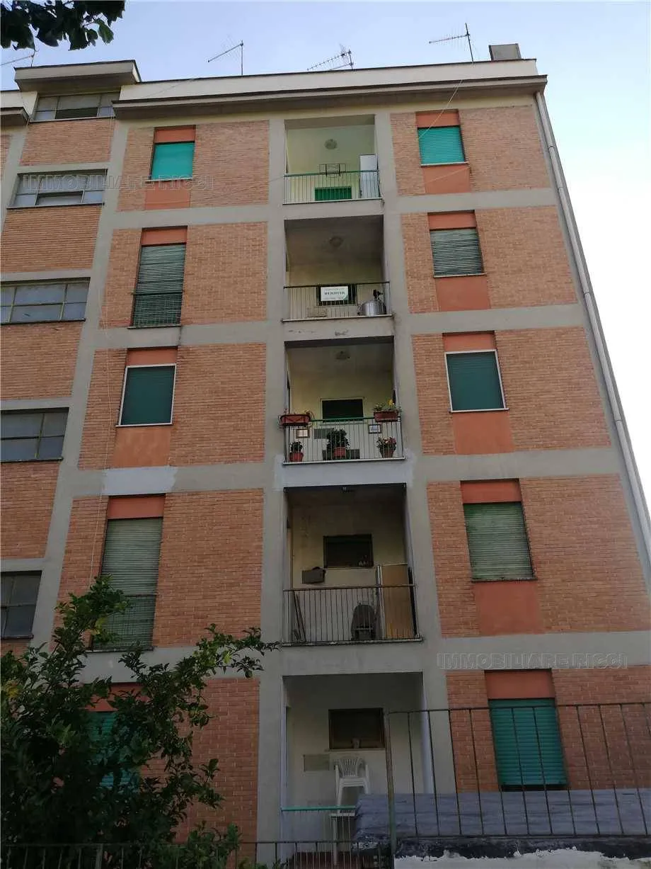 Appartamento in vendita a Pontecorvo - foto 2