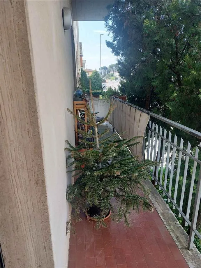 Appartamento in vendita a Poggio a Caiano - foto 7