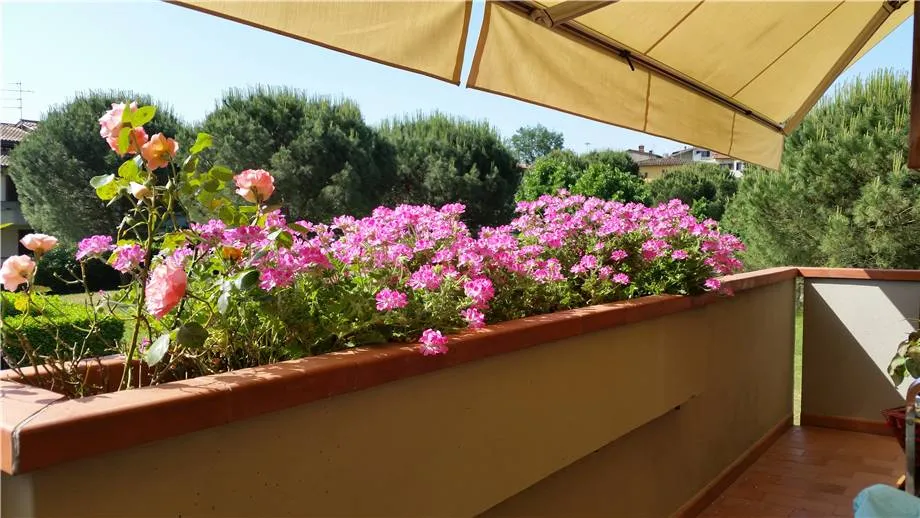 Appartamento in vendita a Poggio a Caiano - foto 1