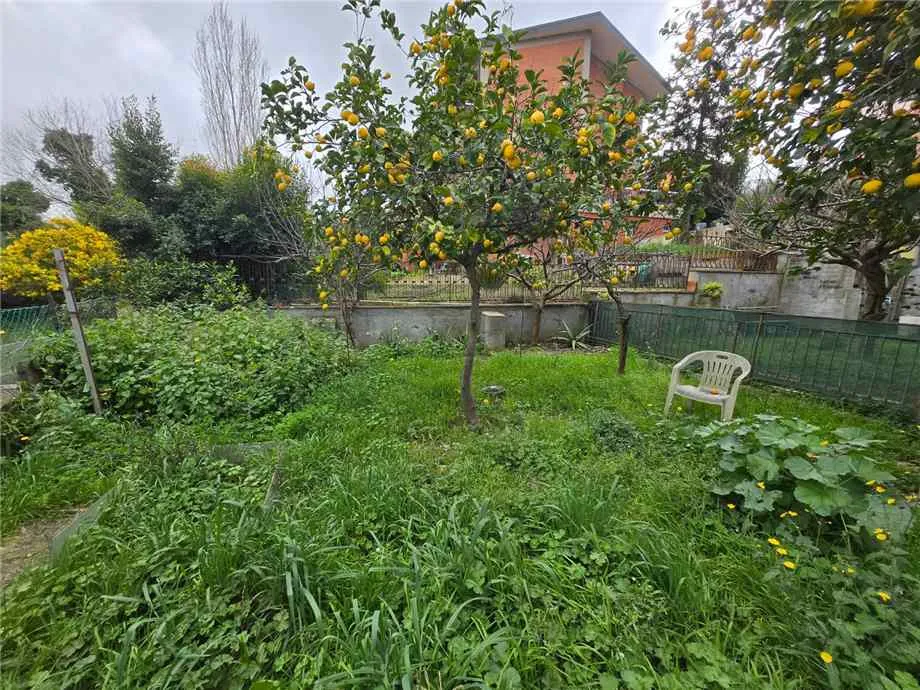 Appartamento in vendita a Roma - Acilia - foto 4