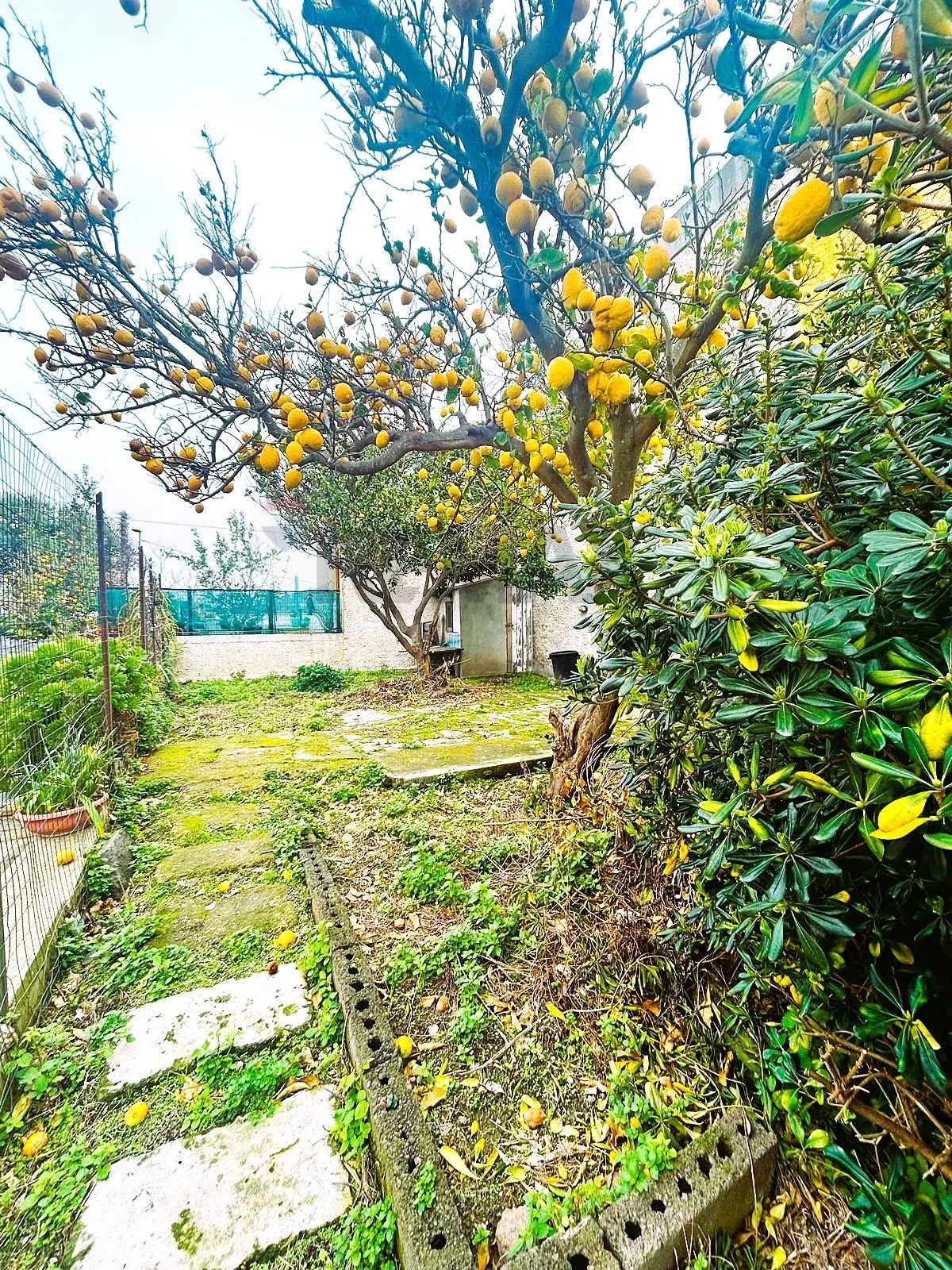 Appartamento in vendita a Ischia, Forio - foto 2