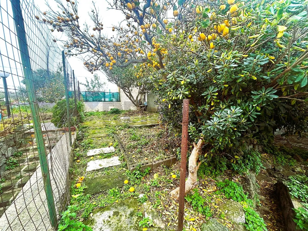 Appartamento in vendita a Ischia, Forio - foto 7