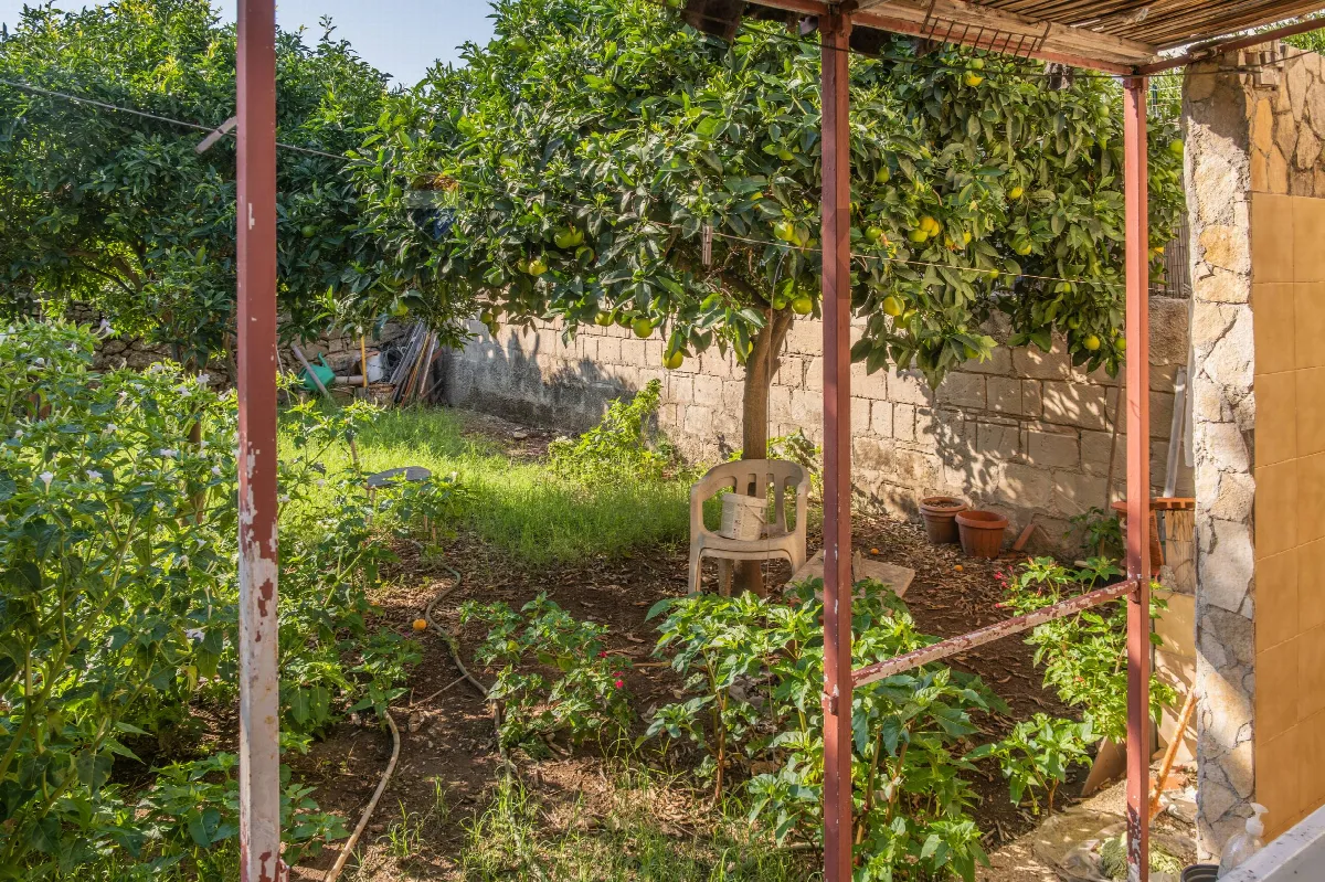 Villa o villino in vendita a Noto, San Lorenzo - foto 9