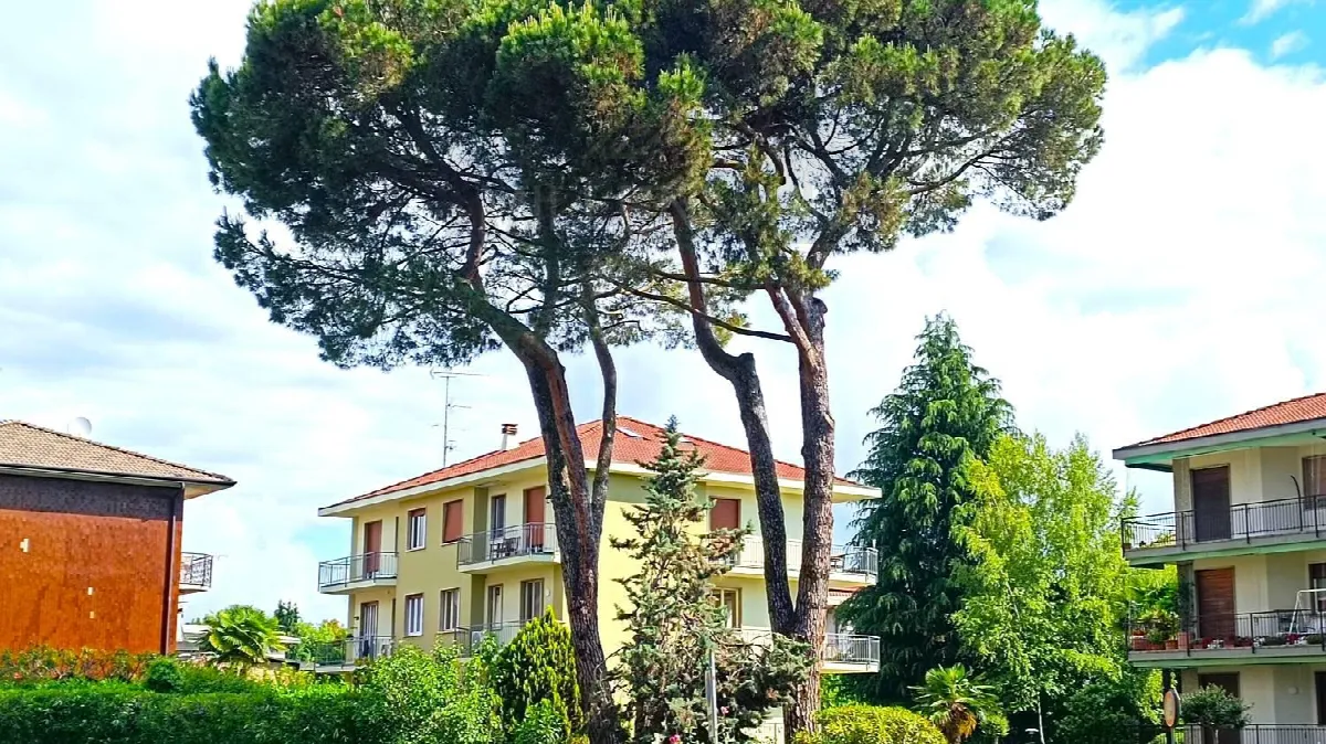 Appartamento in vendita a Arona - foto 2