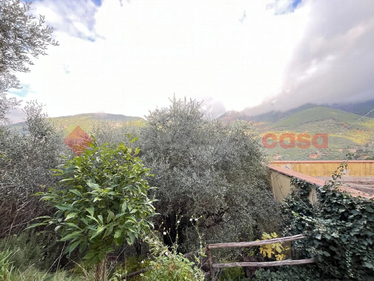 Casa indipendente in vendita a Calci - foto 9