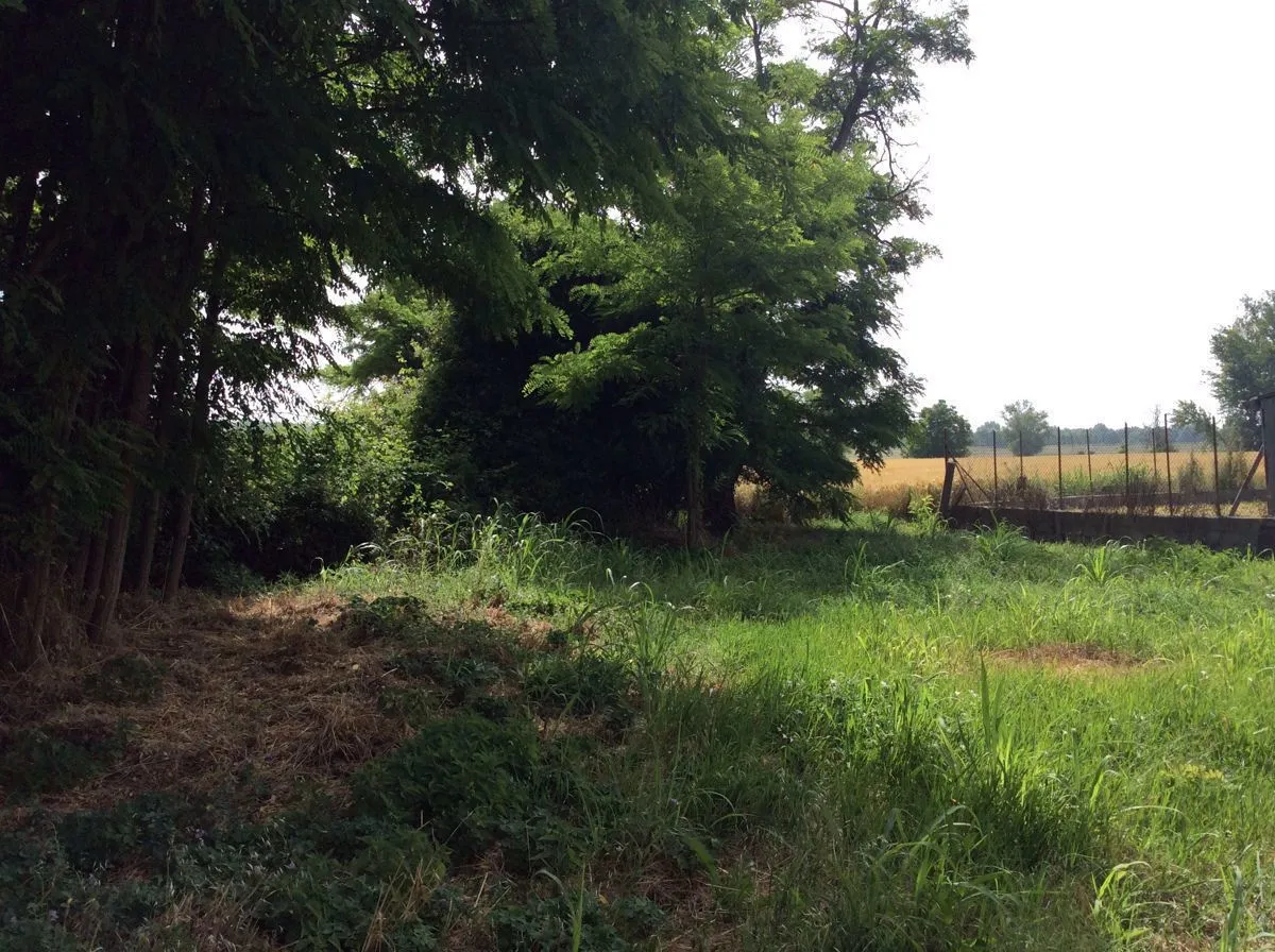 Rustico in vendita a Papozze - foto 10