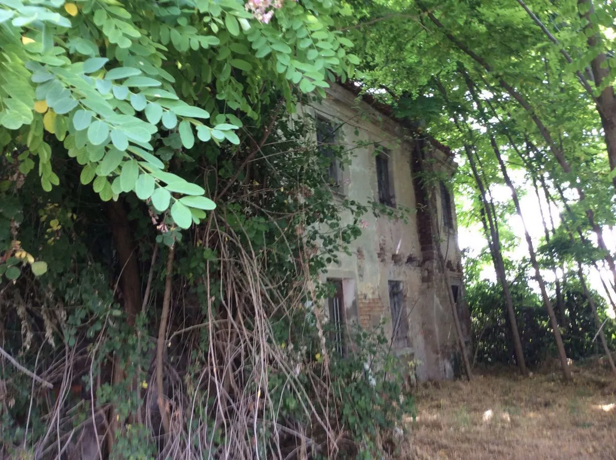 Rustico in vendita a Papozze - foto 6