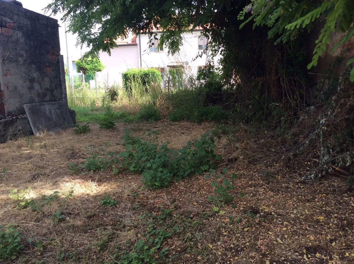 Rustico in vendita a Papozze - foto 7