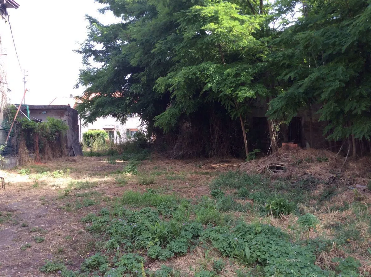 Rustico in vendita a Papozze - foto 8