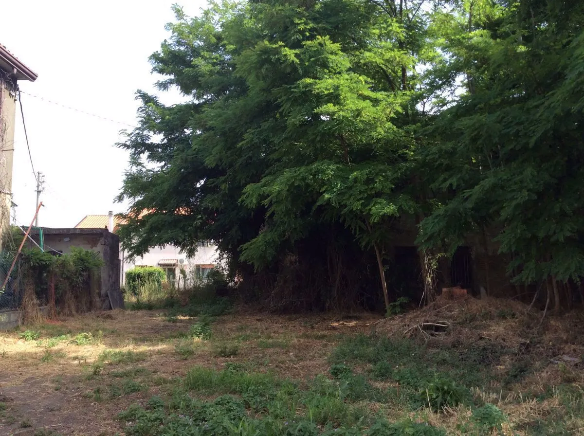 Rustico in vendita a Papozze - foto 9