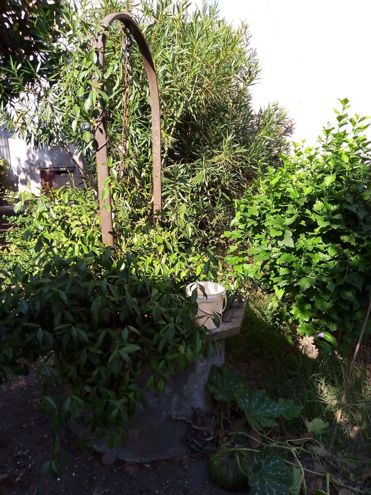 Stabile in vendita a Gavello - foto 10