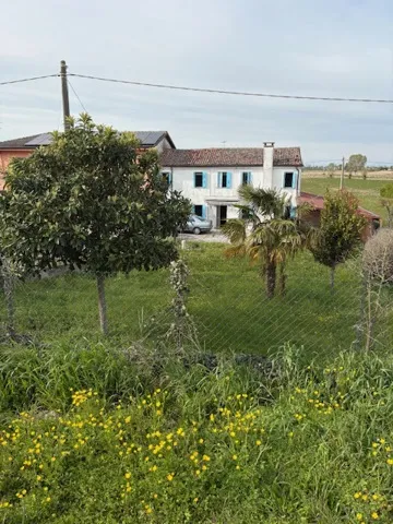 Casa indipendente in vendita a Ceregnano - foto 6