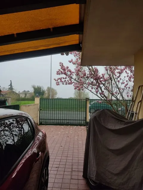 Villetta a schiera in vendita a Papozze - foto 4