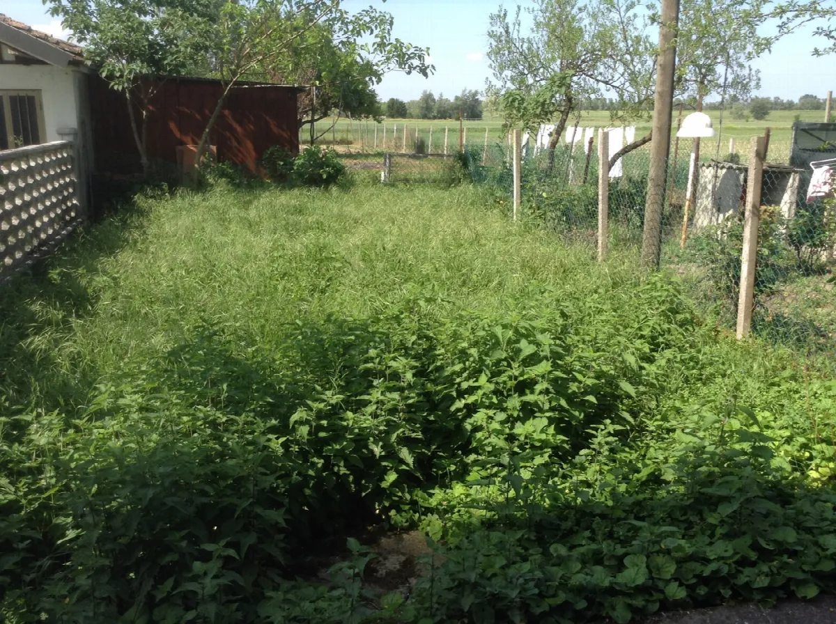 Casa indipendente in vendita a Papozze - foto 2