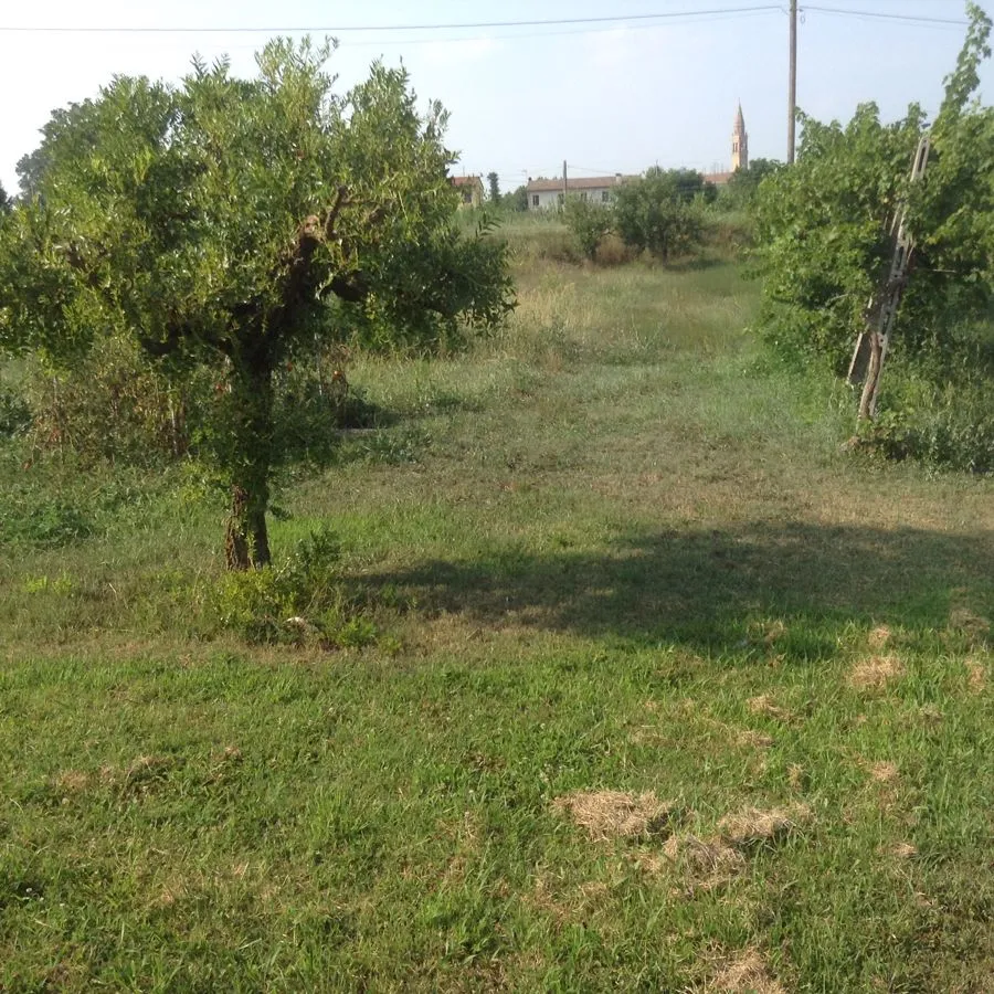 Casa bifamiliare in vendita a Gavello - foto 6