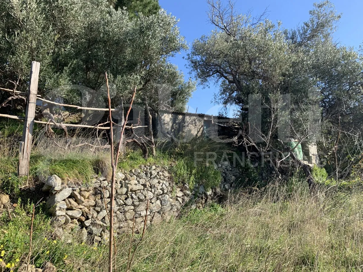 Rustico in vendita a Paola - foto 6