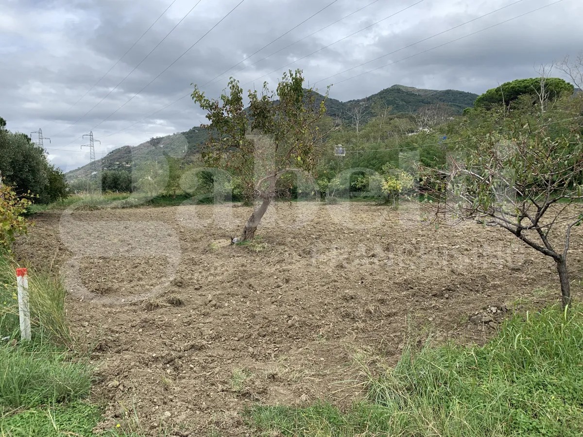 Casa indipendente in vendita a Fiumefreddo Bruzio - foto 7