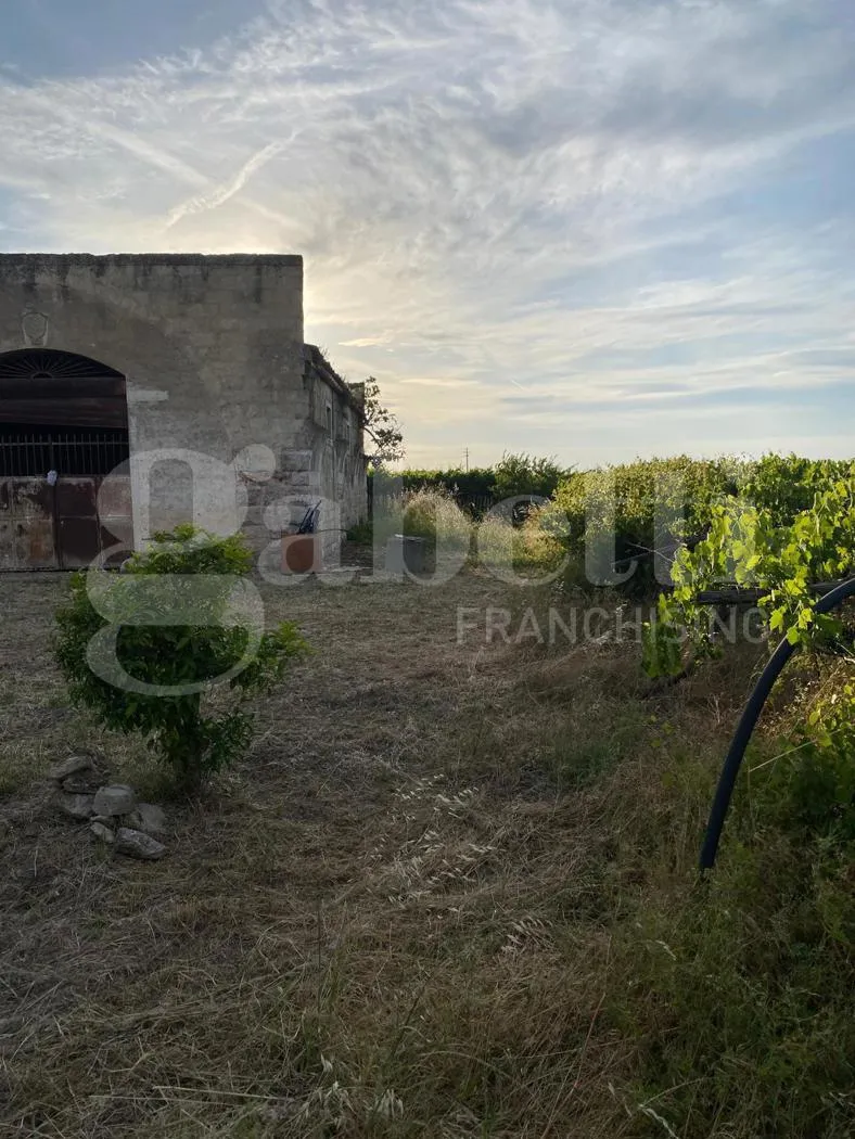 Rustico in vendita a Canosa di Puglia - foto 3