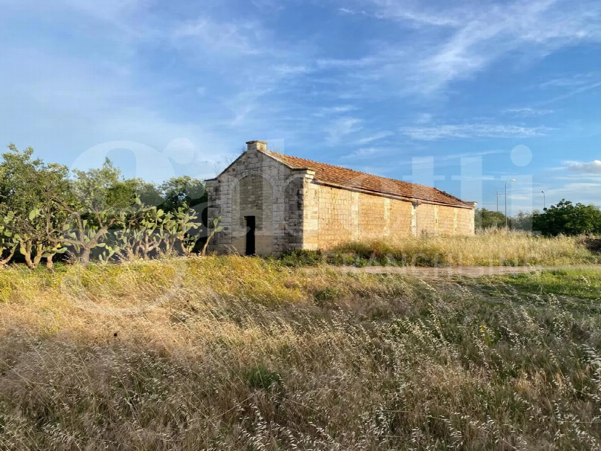 Rustico in vendita a Canosa di Puglia - foto 6