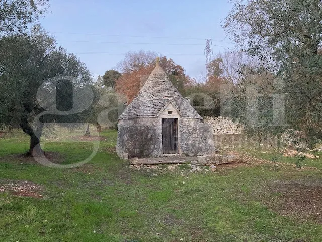 Rustico in vendita a Cisternino - foto 1