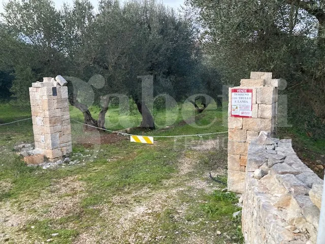 Rustico in vendita a Cisternino - foto 8
