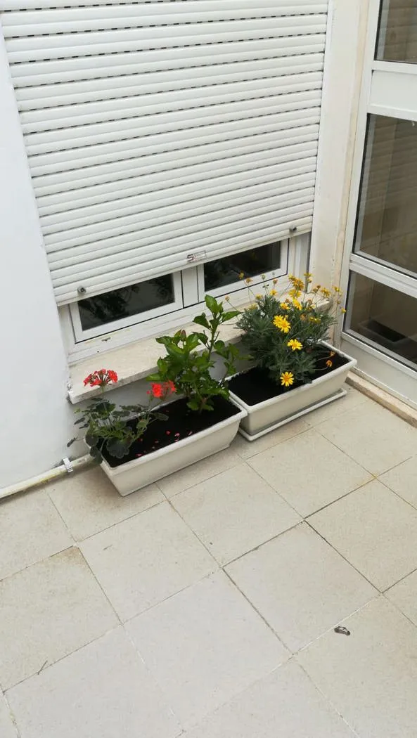 Casa indipendente in vendita a Brindisi - foto 9