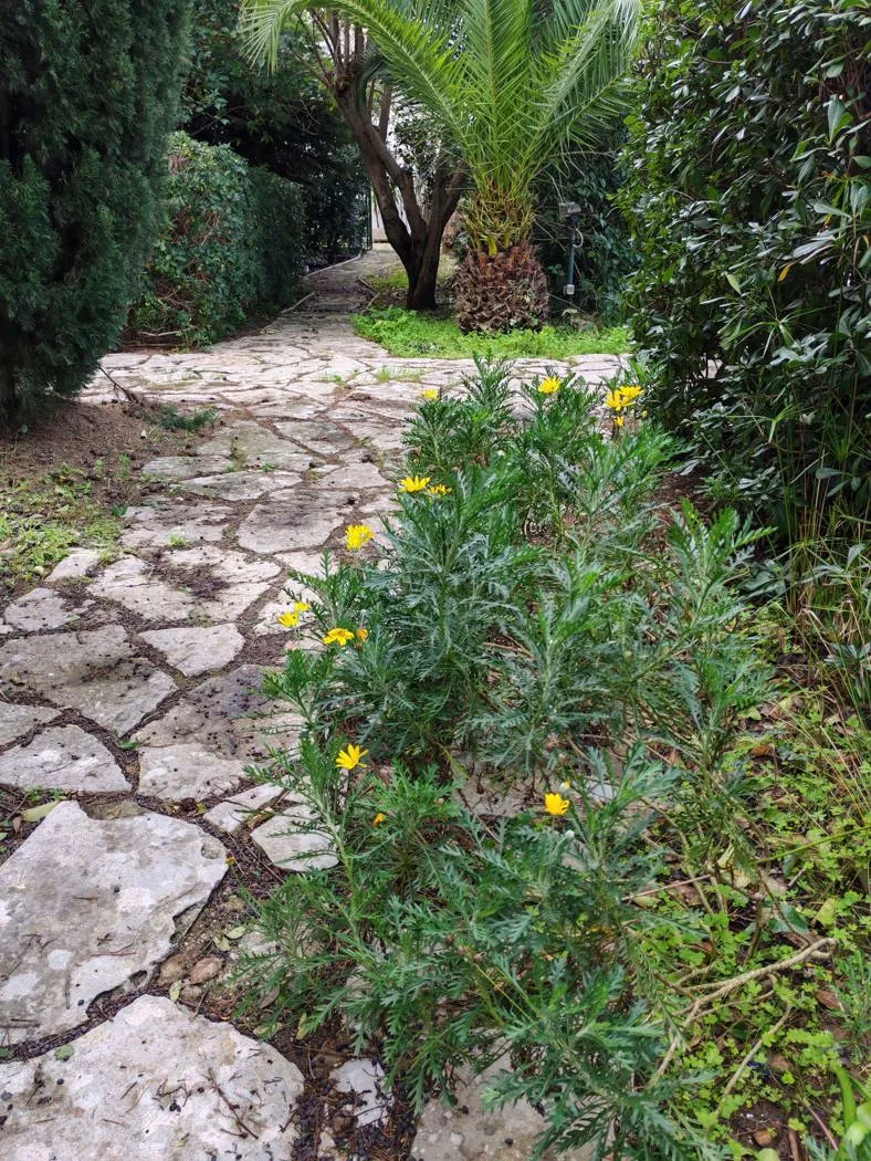 Villetta a schiera in vendita a Cellino San Marco - foto 9