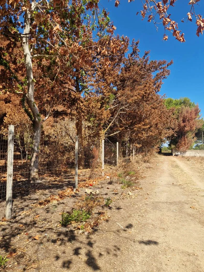 Villetta a schiera in vendita a Brindisi - foto 3