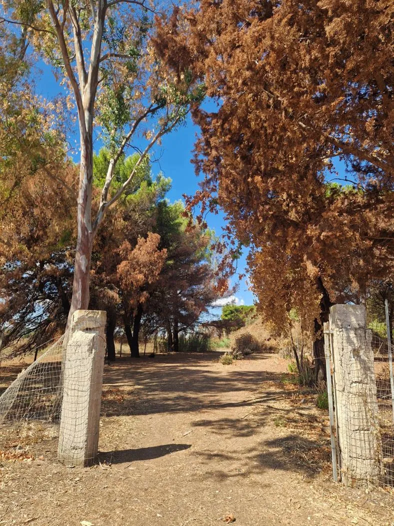 Villetta a schiera in vendita a Brindisi - foto 4
