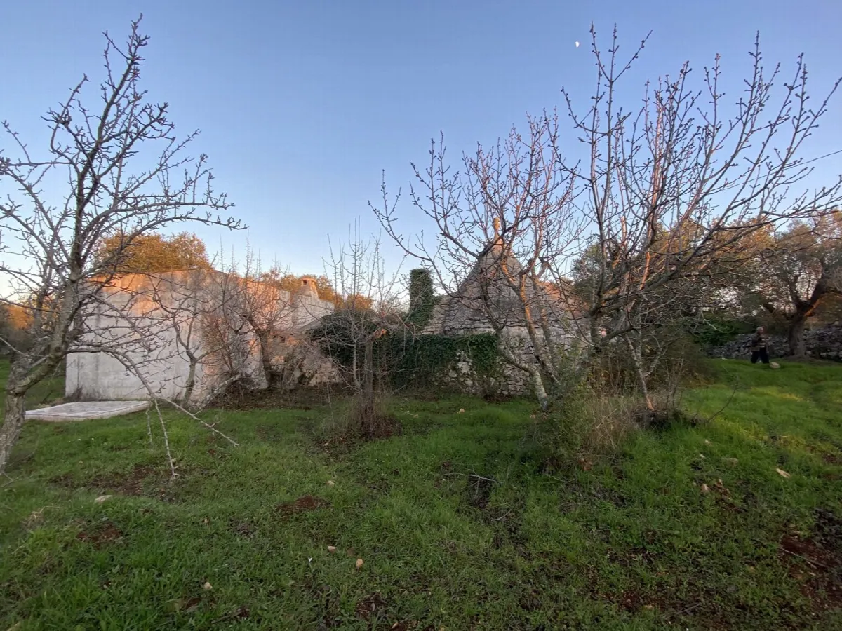 Appartamento in vendita a Ceglie Messapica - foto 9