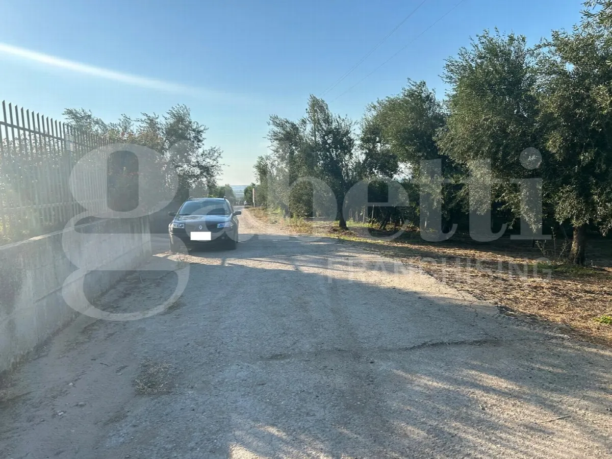 Villa in vendita a Canosa di Puglia - foto 9