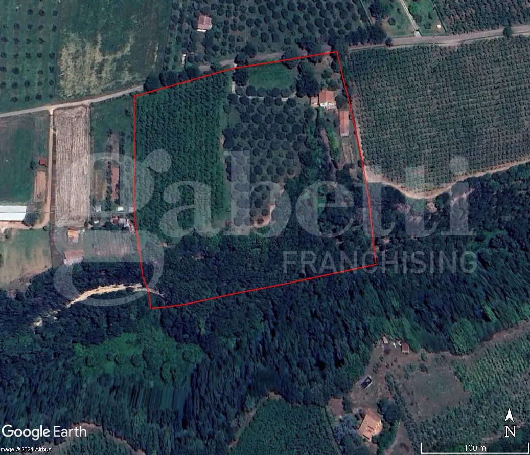 Villetta a schiera in vendita a Gallese - foto 2