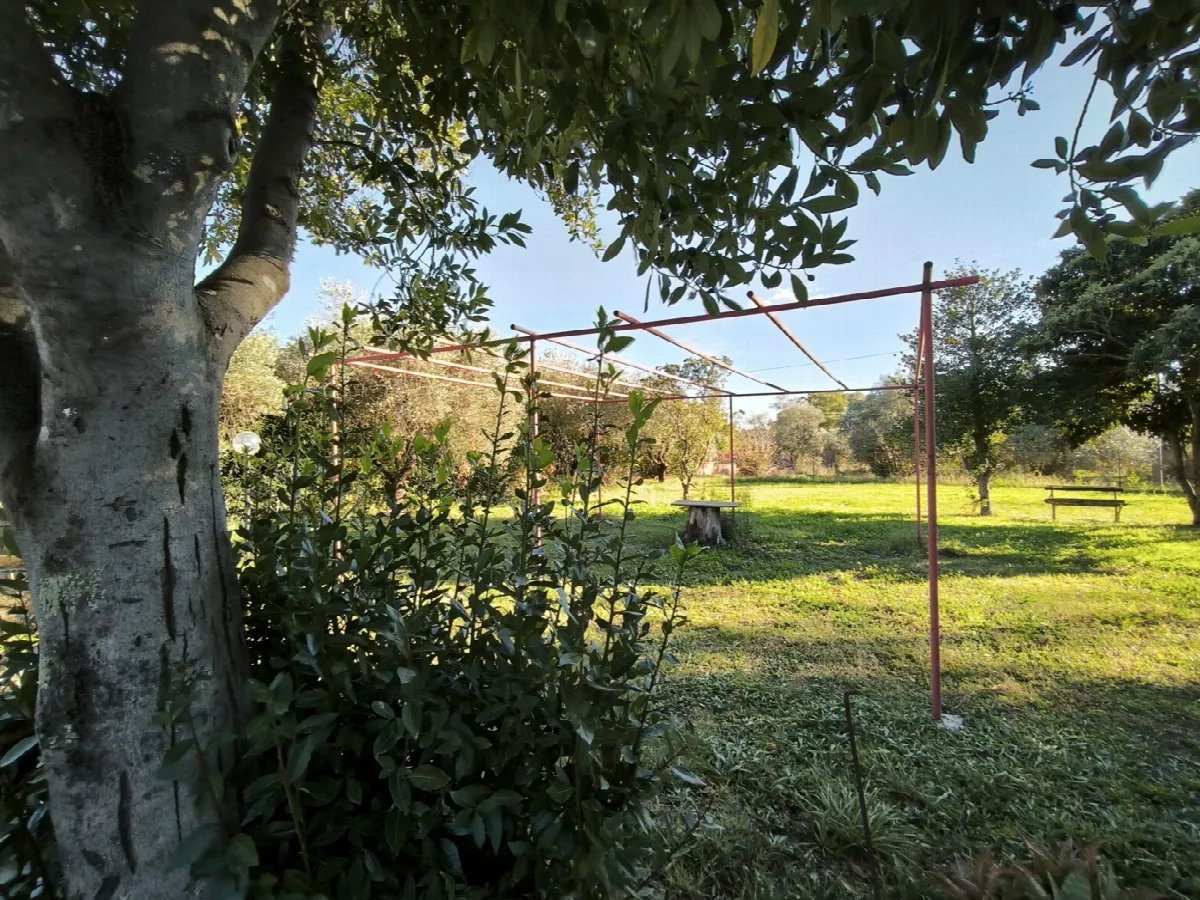 Appartamento in vendita a Corchiano - foto 6