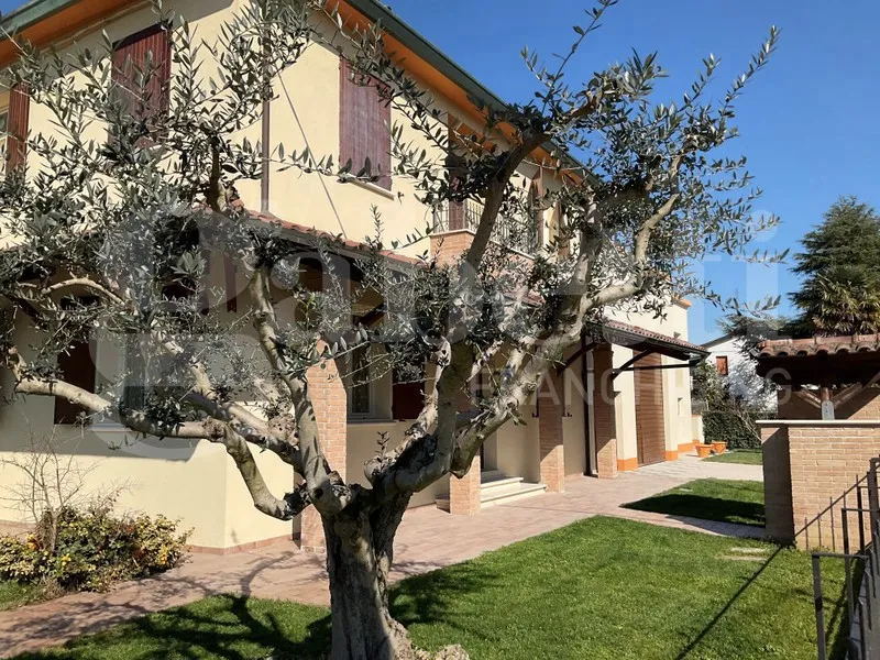 Casa indipendente in vendita a Solarolo - foto 1