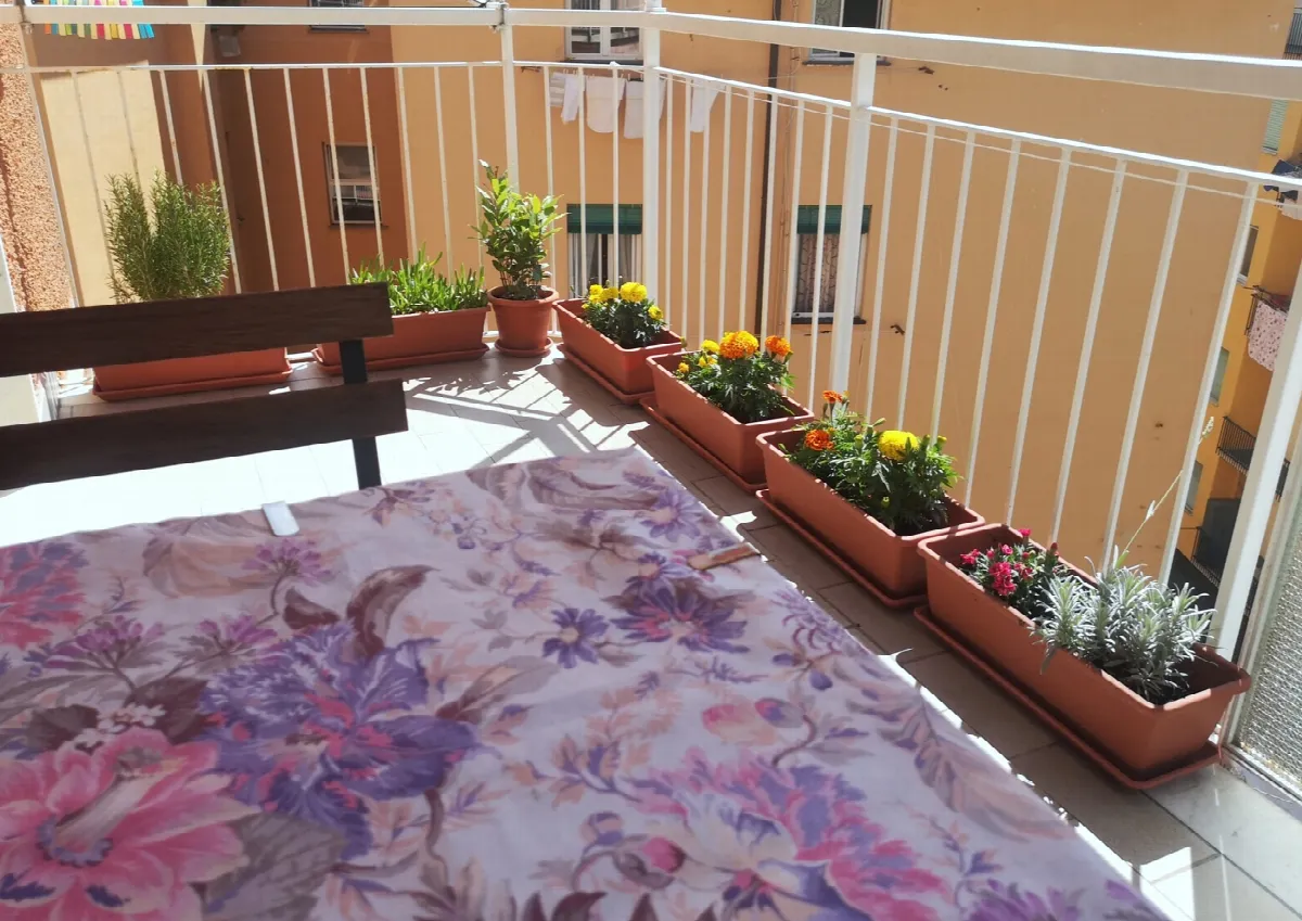 Appartamento in vendita a Rapallo - foto 6
