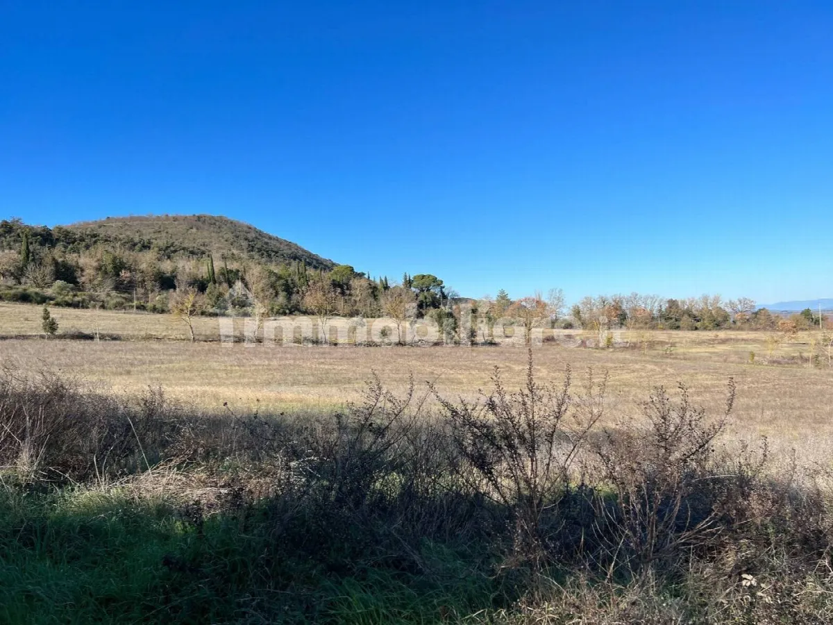Rustico in vendita a Trequanda - foto 10