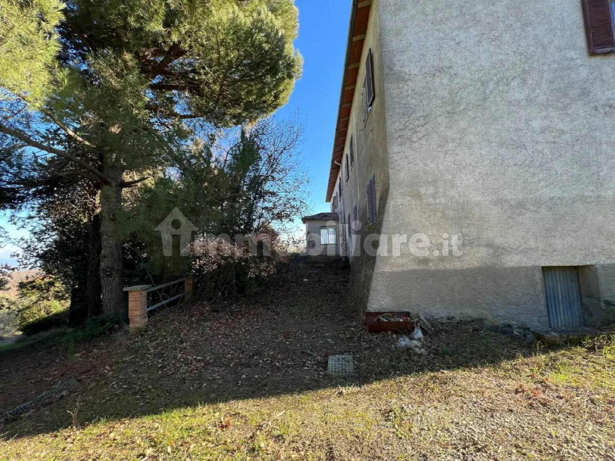 Rustico in vendita a Trequanda - foto 3