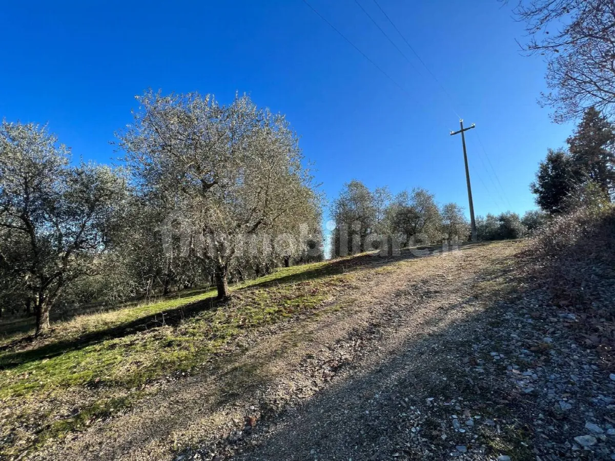 Rustico in vendita a Trequanda - foto 5