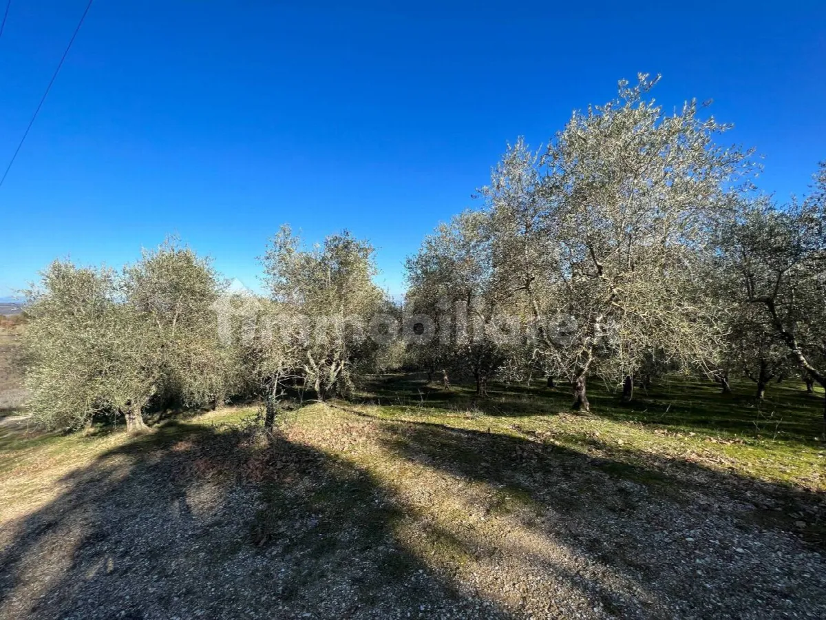 Rustico in vendita a Trequanda - foto 6