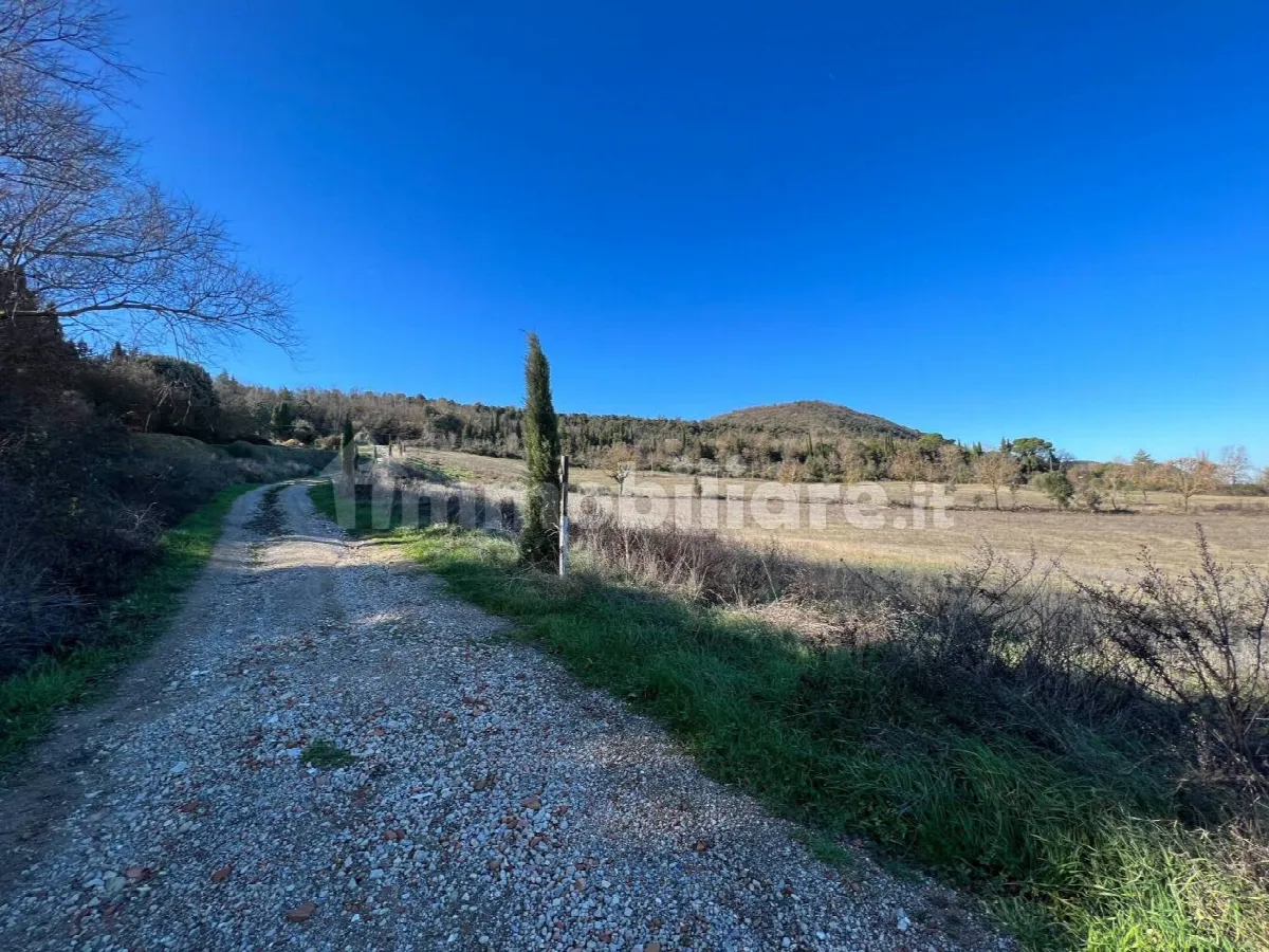 Rustico in vendita a Trequanda - foto 7