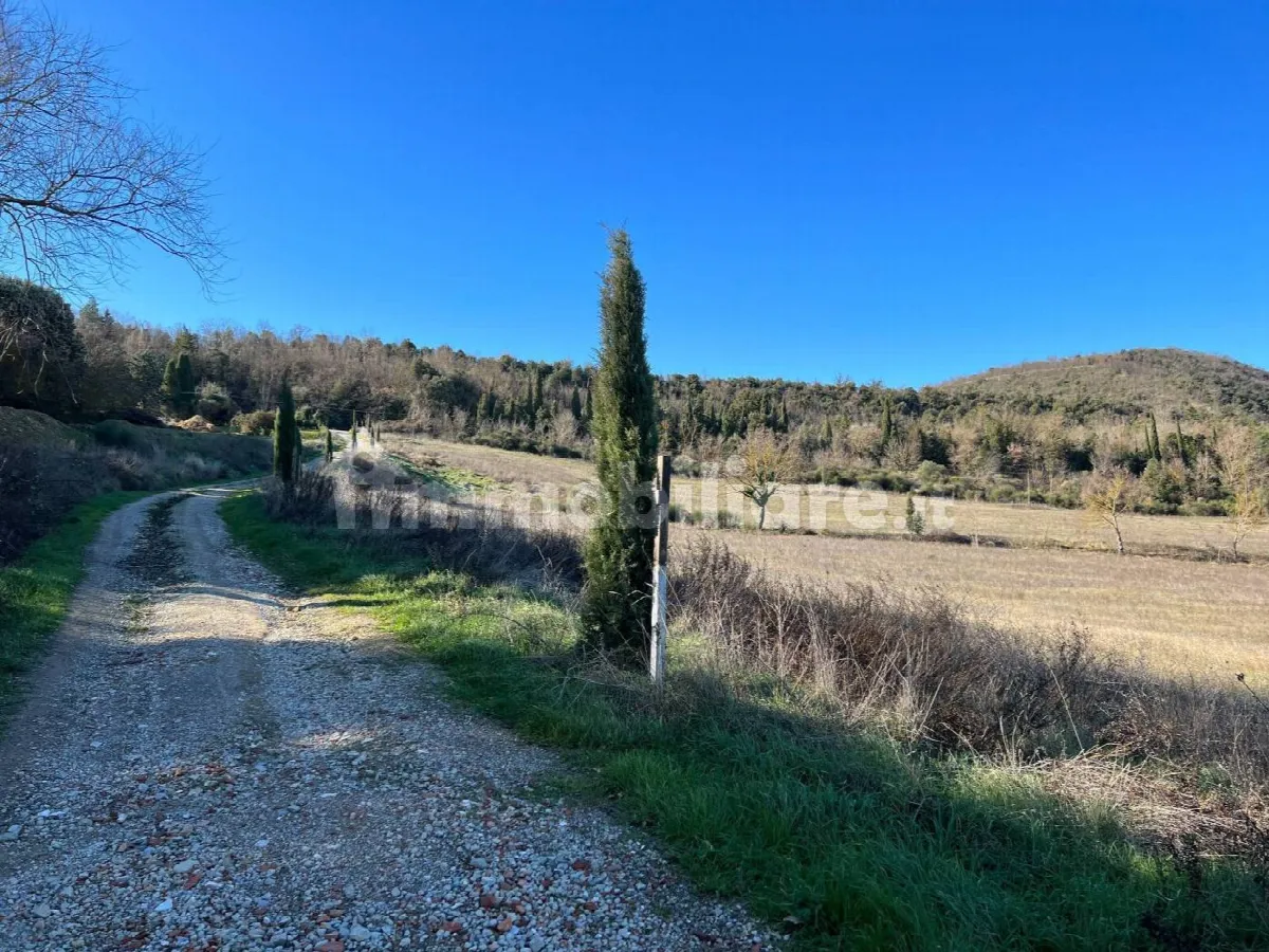 Rustico in vendita a Trequanda - foto 9