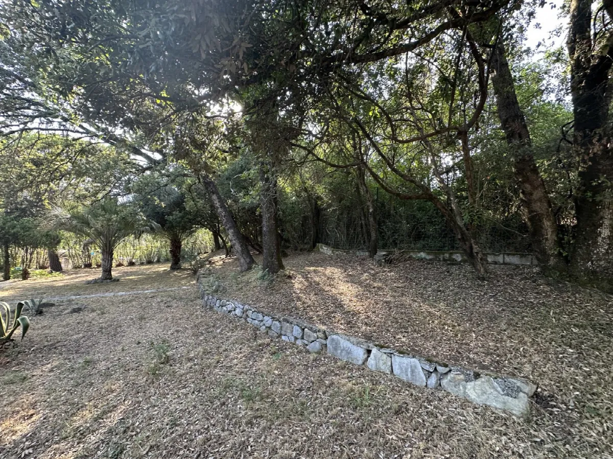 Appartamento in vendita a San Giovanni a Piro - foto 6