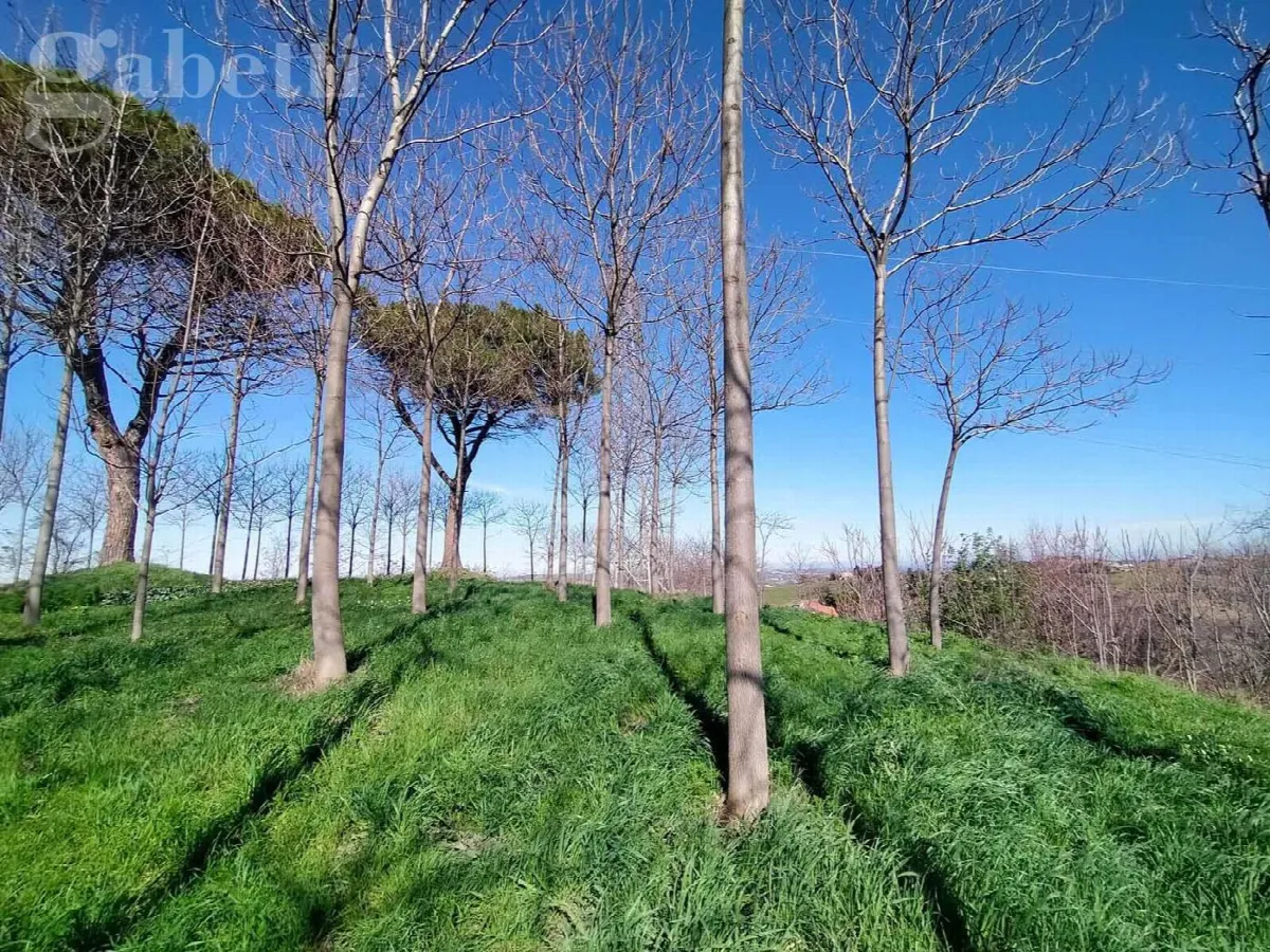 Rustico in vendita a Corinaldo - foto 6