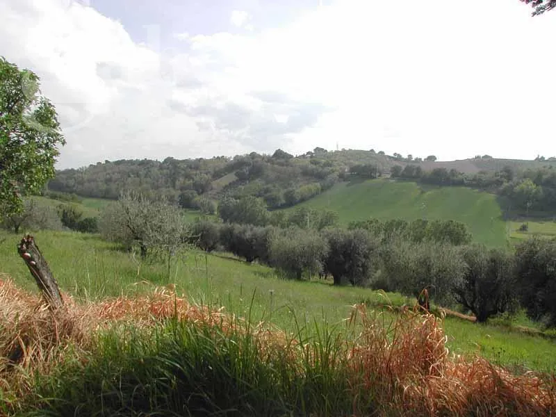 Rustico in vendita a Senigallia - foto 3
