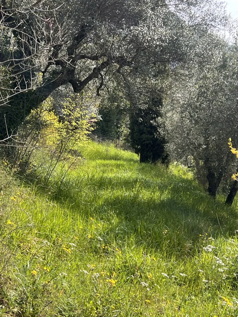 Villa in vendita a Terni - foto 10